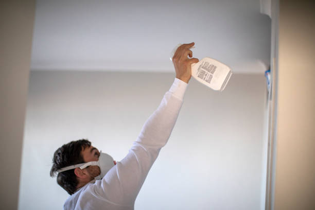Best Mold Testing  in Arroyo Seco, NM