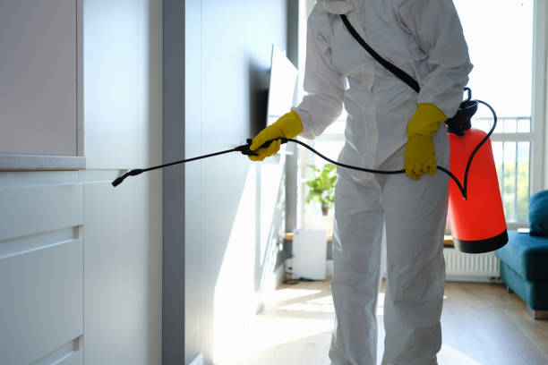 Certified Mold Removal in Arroyo Seco, NM