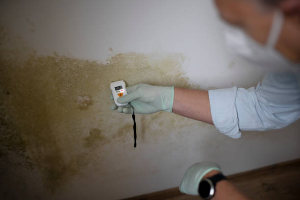 Best Crawl Space Mold Removal  in Arroyo Seco, NM